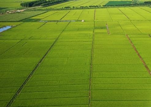 2024年黑龙江省粮食作物平均单产提高2.7%