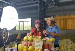 福建探索电商助农新路径