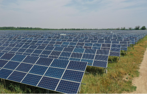 山东光伏产品在全球追“光”逐“绿”