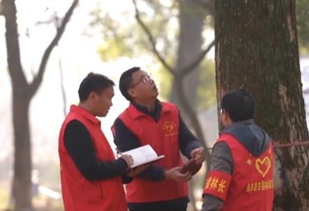 我国古树名木保护取得积极进展