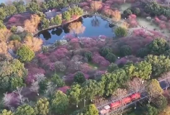 春日经济不断升温 错峰出游、赏花游成为新选择