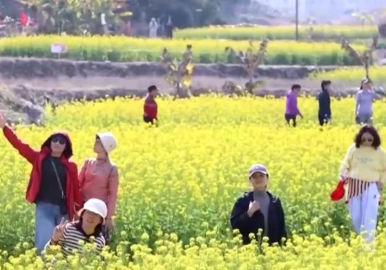 “赏花经济”带动文旅市场春潮涌动 为城乡消费注入蓬勃动能