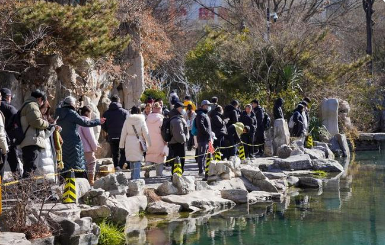 人少、景美、价格“香” 错峰出游正当时