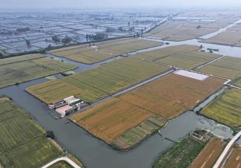 守好生态“财富”，江苏兴化打造新时代“鱼米之乡”