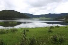 有效期5年！山西划定全省禁猎区