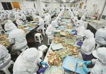 福建漳州 新生代休闲食品企业以“微创新”撬动市场