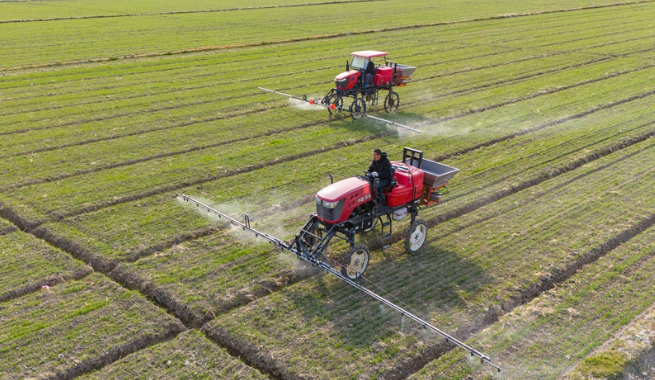 激发乡村全面振兴澎湃动能——中国经济圆桌会聚焦2025年中央一号文件