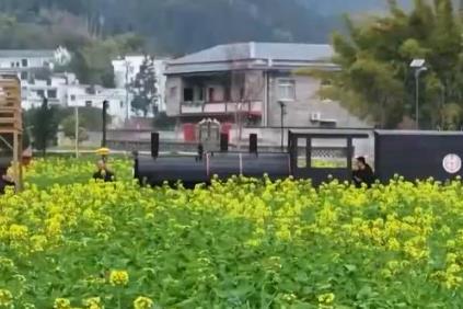 “赏花+”产业激活乡村活力 成为新经济增长点