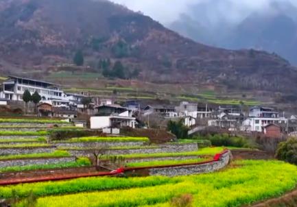 春风吹热“花经济” 农文旅融合为乡村振兴“增色添香”