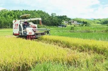 “芯”动力、“硬”装备！看福建增产20万吨粮食的创新底气