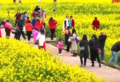 好风景变身好“钱”景 鸟语花香点亮“春日经济”新活力