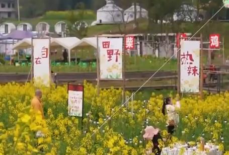 “美丽花海+特色文旅”催热“家门口”农文旅融合新热潮