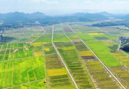 福建南平：中国电信智能化应用解锁春耕新农具