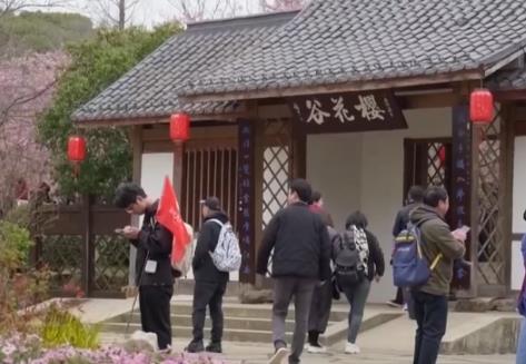 赏花、摘果、运动、慢游“牵手”春日经济 释放消费多“彩”活力