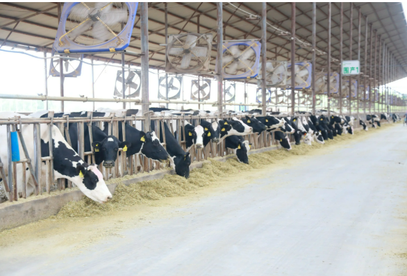 国内首个畜牧业碳排放数据集获北京数据知识产权登记