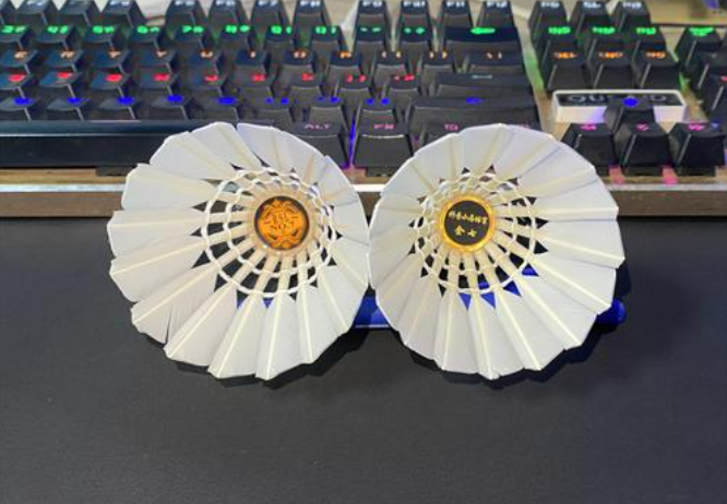 产业韧性足 外贸空间大 国产体育用品“卖”向全球