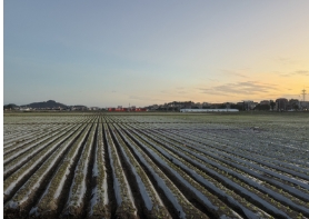 福建泉州：一手“融合牌”，打造良田好风光