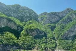 河南印发首个生物多样性保护专项规划