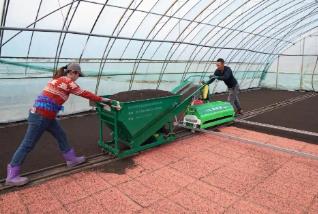 中国“大粮仓”黑龙江春播忙