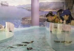 哈尔滨“春日经济”热度“续航” 清明小长假223．4万人次打卡