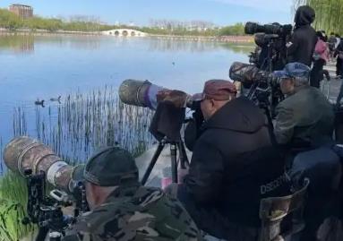 生态旅游正当时 读懂“打鸟热”背后的多重期待