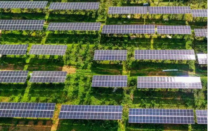 山东兰陵光伏绿电绘就“农光互补”智慧农业新图景