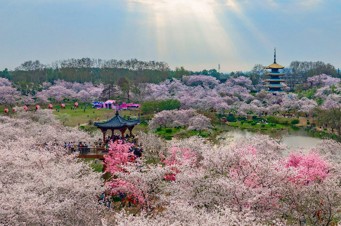 湖北“村晚”赋能“赏花经济”串珠成链扩面