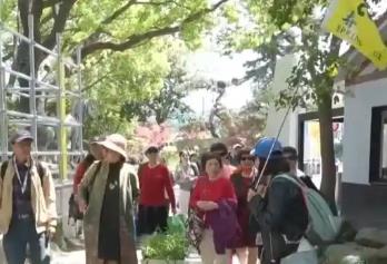 “银发经济”成文旅发展新“引擎” 为乡村振兴注入新活力