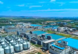 内蒙古招商“分层突破” 多个产业链实现倍增