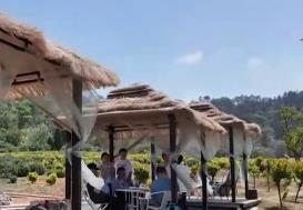 旅游消费从中心城镇向农村市场扩散 乡村旅游焕发双向奔赴新活力