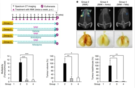 动物实验标准化新突破！上海玮驰携 Revvity 荧光探针助力新药研发