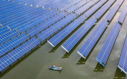 “渔光互补”助力江苏镇江绘就生态富民新图景