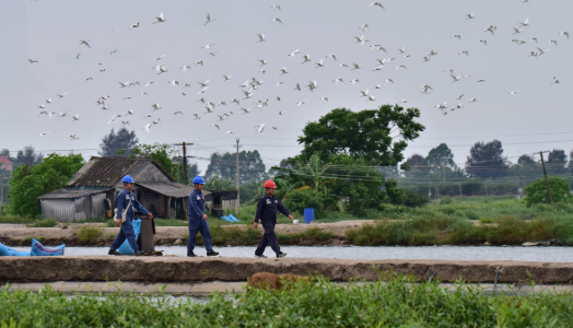 守护“山海精灵”的生态栖居——广西电力绿色发展观察