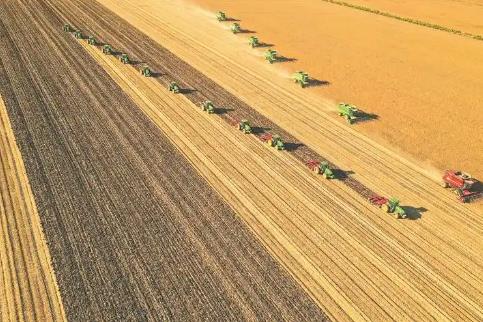 黑龙江粮食总产量登上1600亿斤台阶