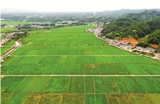 以县域为统筹单元，以乡镇为基本实施单元 湖南深入推进全域土地综合整治