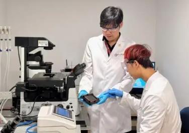 中国团队联合破解细胞膜的“脆弱密码”