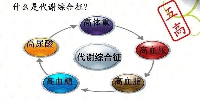 振东五和养生酒：小酌之间，悄悄助力“三高”管理