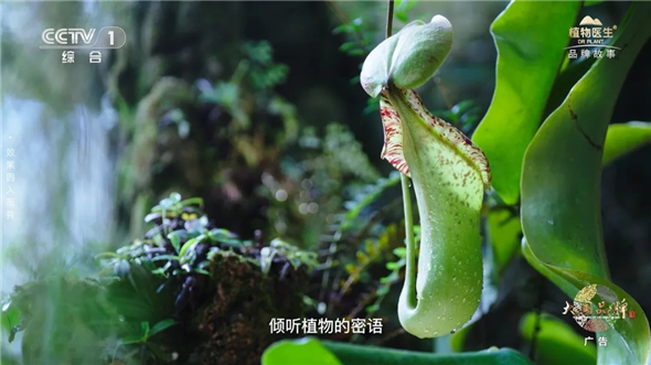 1750814514828026594.jpg 1750814514828026594.jpg