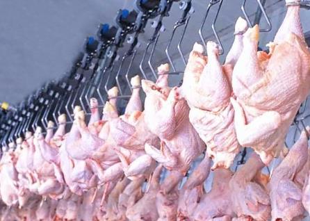 鸡肉供应充足物美价廉