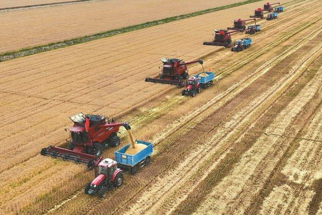 江苏夏粮产量保持基本稳定