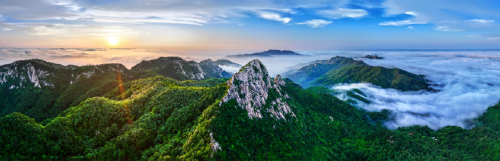 光影定格沂蒙新韵“沂蒙四季”摄影创作大赛圆满落幕