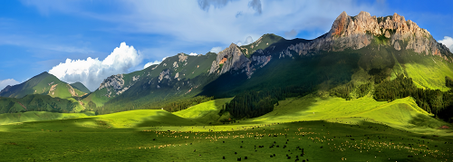 1754384368688506.png 微信图片_2025-08-02_093915_726.png