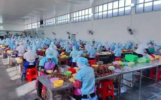 全国首个罐头技贸评议基地落户福建漳州