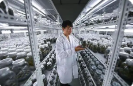 浙江已累计培育“农创客”超9.4万名 农创大赛激发创新创业新活力