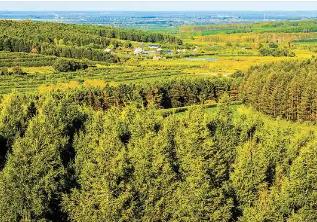 黑龙江牡丹江：营商沃土培育“产业森林”