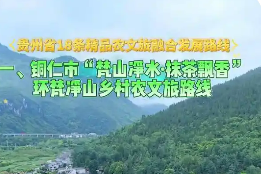 粤黔协作发布18条乡村农文旅特色路线