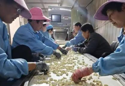 山西曲沃：绿色金融“智”造力激活产业新引擎