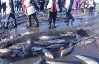 黑龙江佳木斯：冷水鱼“鲜”行全国