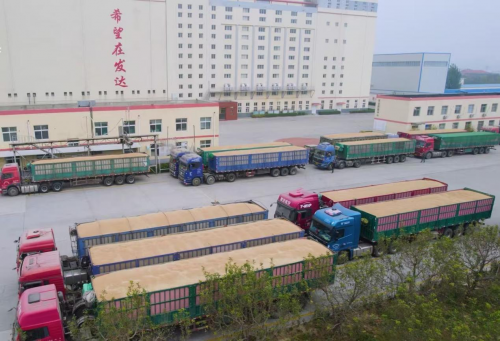 农发行夏津县支行：精准服务政协委员企业，信贷资金助力夏粮收购