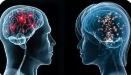 叩开大脑奥秘之门 “高清脑图谱”实现新跨越